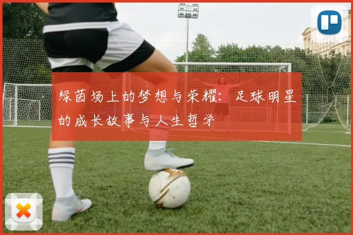 绿茵场上的梦想与荣耀：足球明星的成长故事与人生哲学