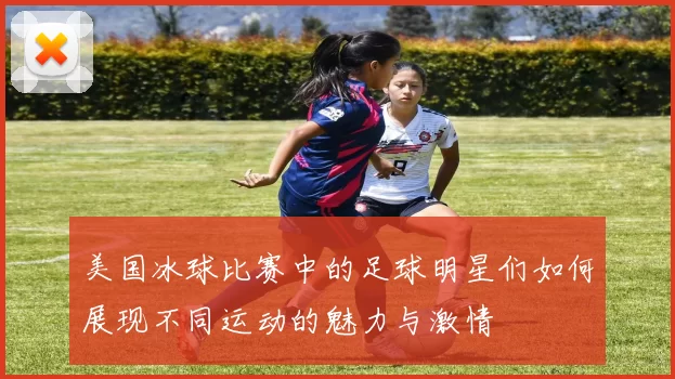 美国冰球比赛中的足球明星们如何展现不同运动的魅力与激情