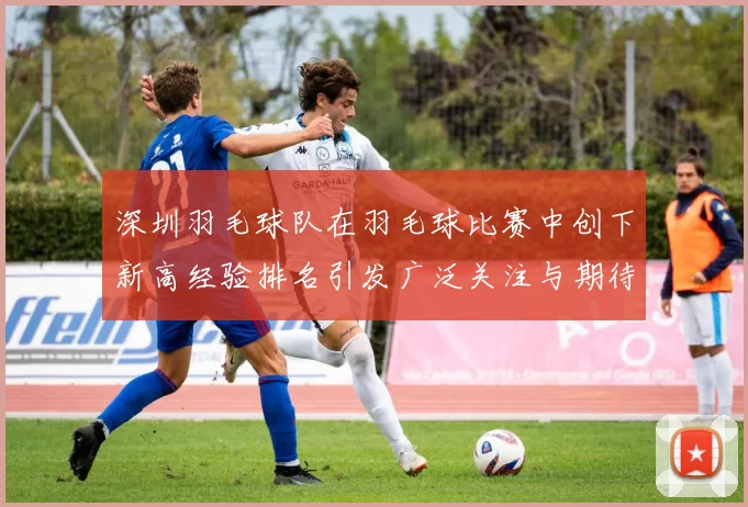 深圳羽毛球队在羽毛球比赛中创下新高经验排名引发广泛关注与期待