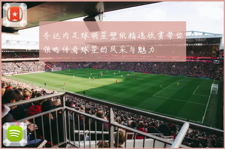 齐达内足球明星壁纸精选欣赏带你领略传奇球星的风采与魅力