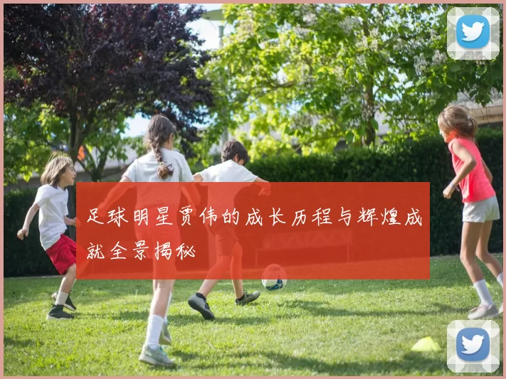 足球明星贾伟的成长历程与辉煌成就全景揭秘