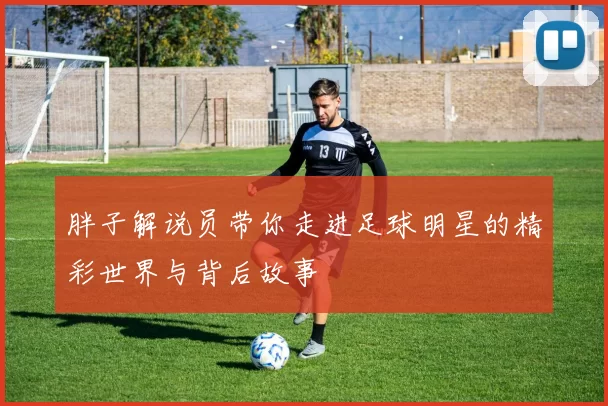 胖子解说员带你走进足球明星的精彩世界与背后故事