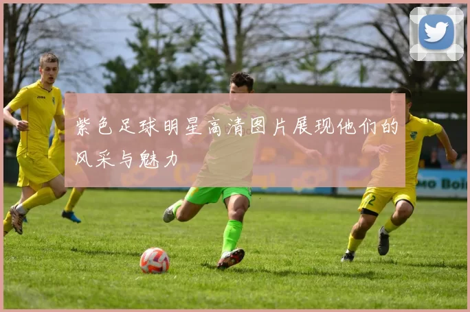 紫色足球明星高清图片展现他们的风采与魅力