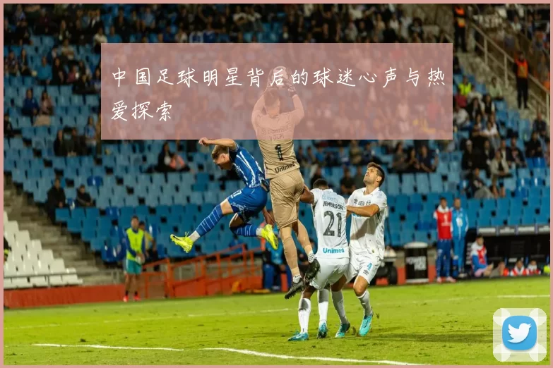 中国足球明星背后的球迷心声与热爱探索