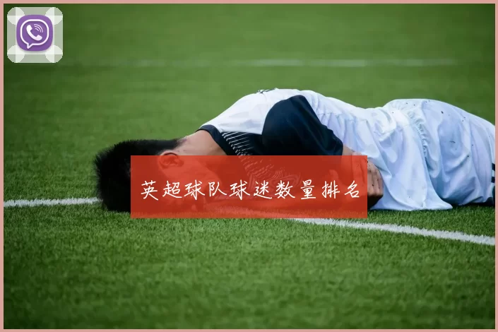 英超球队球迷数量排名
