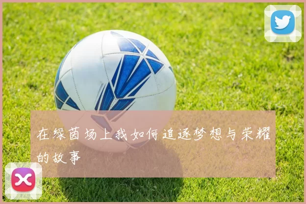 在绿茵场上我如何追逐梦想与荣耀的故事