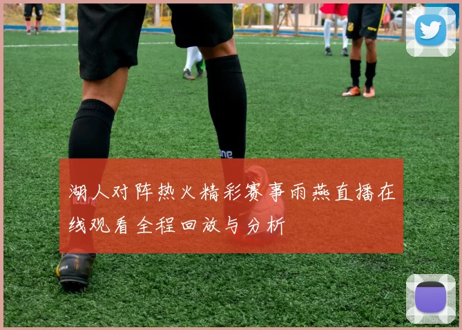 湖人对阵热火精彩赛事雨燕直播在线观看全程回放与分析