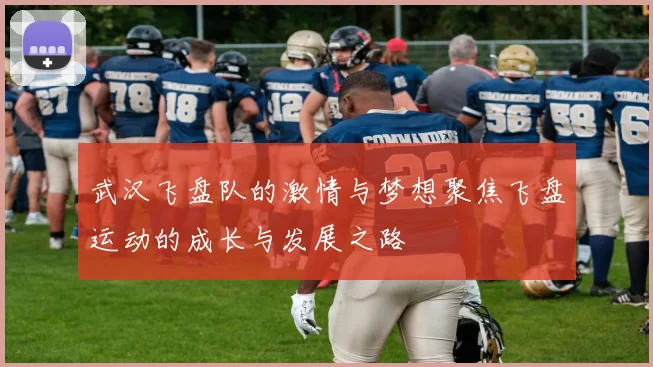 武汉飞盘队的激情与梦想聚焦飞盘运动的成长与发展之路