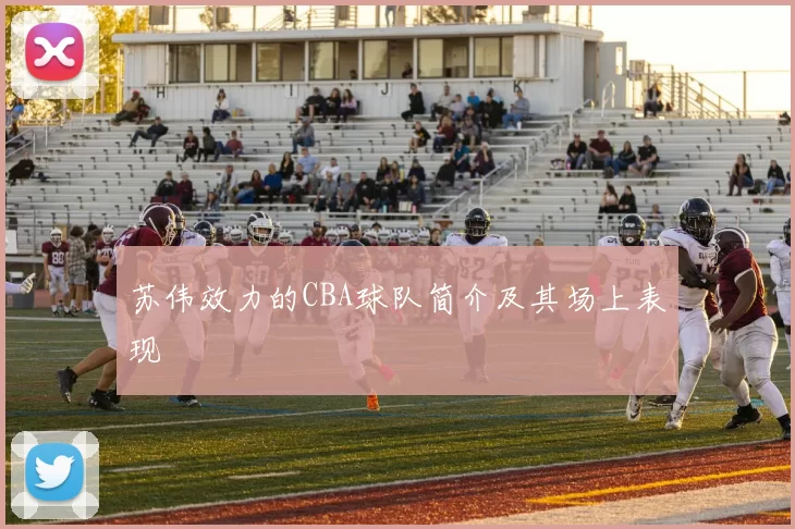 苏伟效力的CBA球队简介及其场上表现