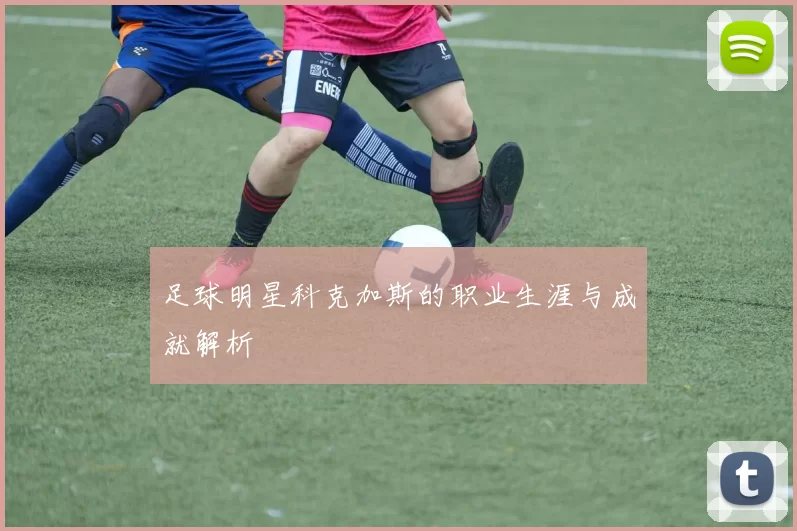 足球明星科克加斯的职业生涯与成就解析