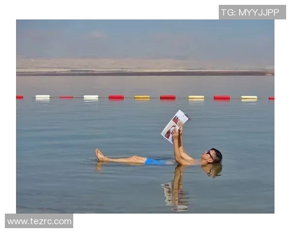 泳池明星璀璨登场畅游世界 揭秘他们的训练秘诀与生活态度